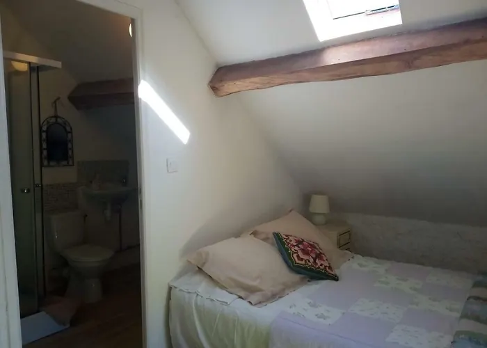 Le Petit Savriere 3* Tronget